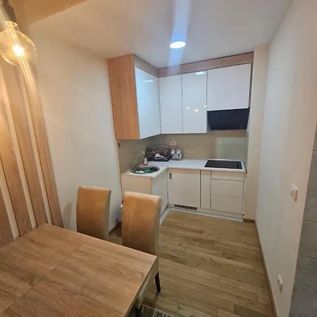 21 ズラティボール